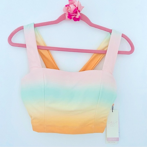 💕NWT! Pretty Gradient Sports Crop Bra SZ S - Picture 1 of 12